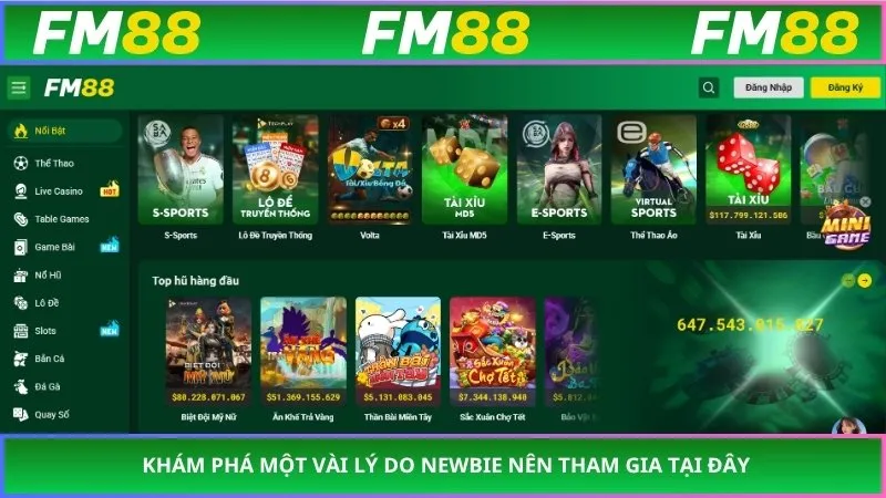 Khám phá một vài lý do newbie nên tham gia tại đây