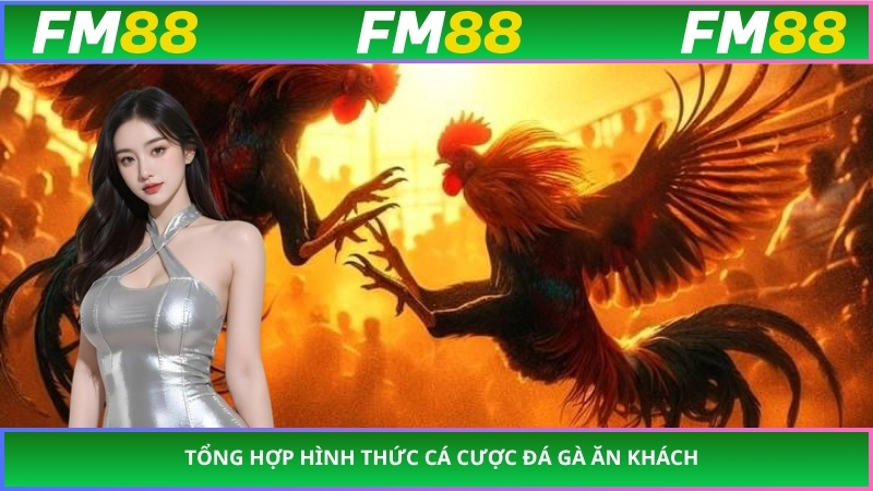 Tổng hợp hình thức cá cược đá gà ăn khách