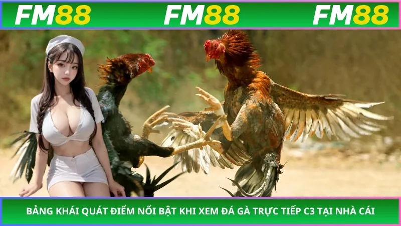 Bảng khái quát điểm nổi bật khi xem Đá Gà Trực Tiếp C3 tại nhà cái