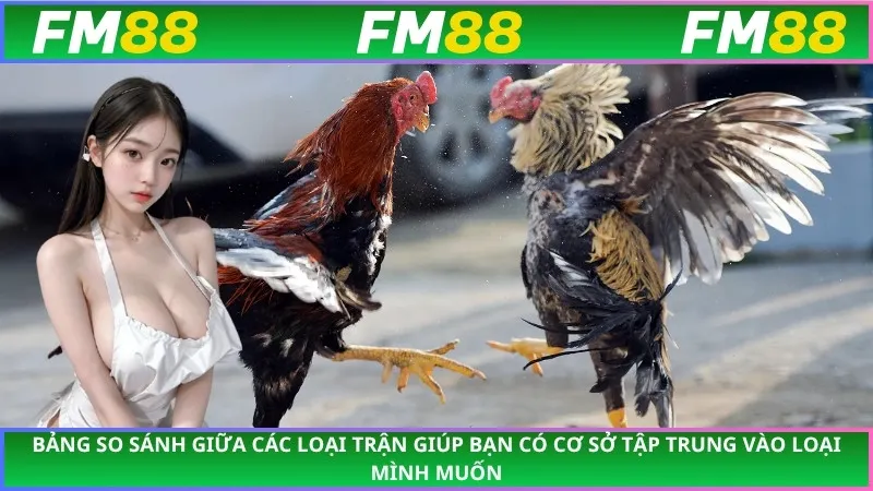 Bảng so sánh giữa các loại trận giúp bạn có cơ sở tập trung vào loại mình muốn