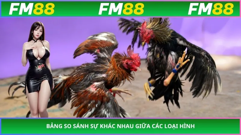 Bảng so sánh sự khác nhau giữa các loại hình