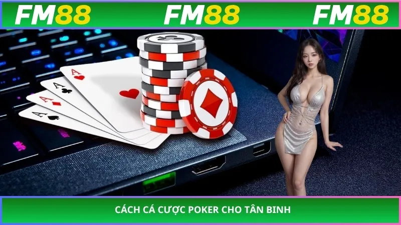 Cách cá cược poker cho tân binh