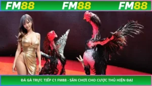 Đá Gà Trực Tiếp C1 FM88 - Sân Chơi Cho Cược Thủ Hiện Đại