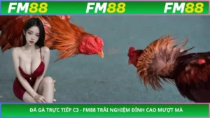 Đá Gà Trực Tiếp C3 - FM88 Trải Nghiệm Đỉnh Cao Mượt Mà