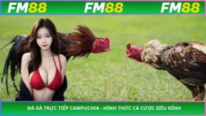 Đá gà trực tiếp campuchia - Hình thức cá cược siêu đỉnh
