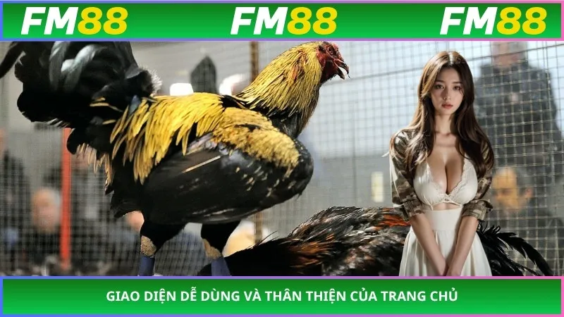 Giao diện dễ dùng và thân thiện của trang chủ