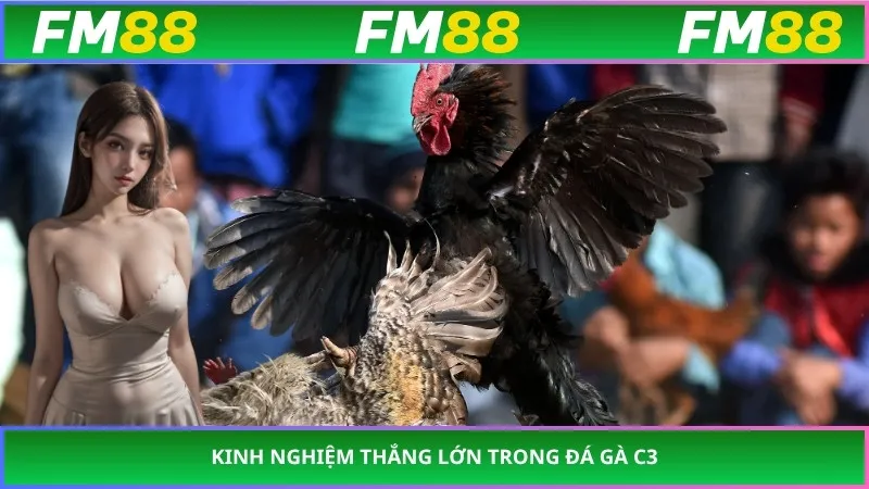 Kinh nghiệm thắng lớn trong đá gà c3