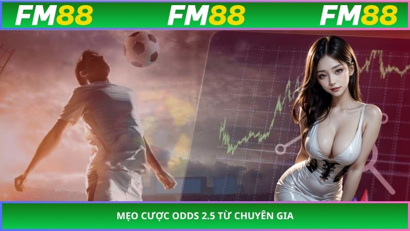 Mẹo cược odds 2.5 từ chuyên gia