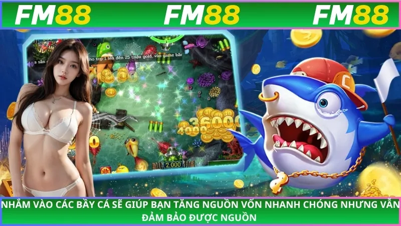 Nhắm vào các bầy cá sẽ giúp bạn tăng nguồn vốn nhanh chóng nhưng vẫn đảm bảo được nguồn