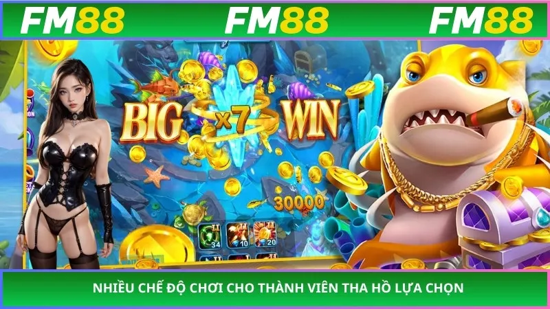 Nhiều chế độ chơi cho thành viên tha hồ lựa chọn