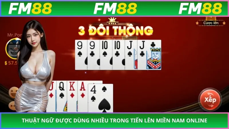 Thuật ngữ được dùng nhiều trong tiến lên miền Nam online
