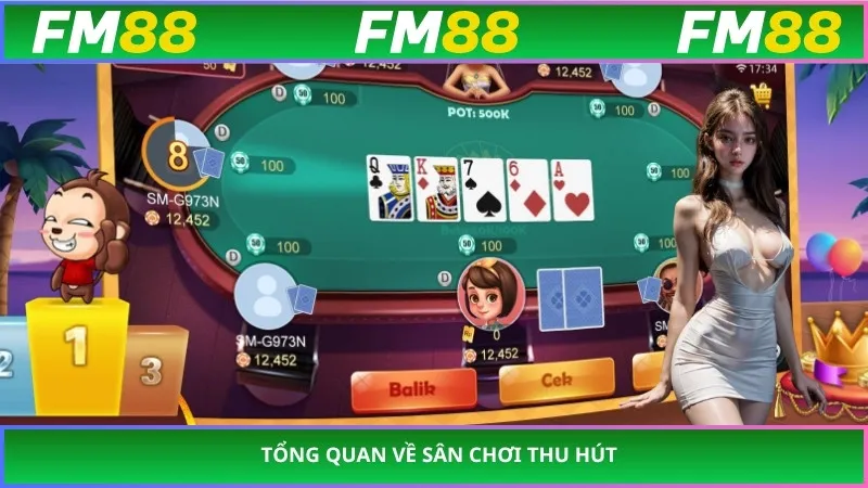 Tổng quan về sân chơi thu hút